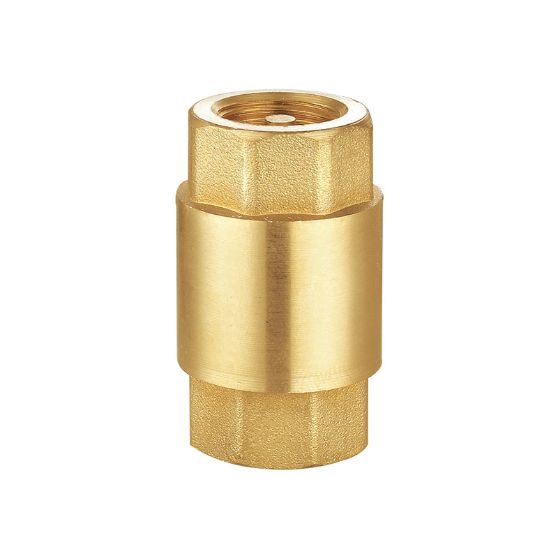 Clapet anti-retour universel en laiton avec noyau en plastique AMT-8001