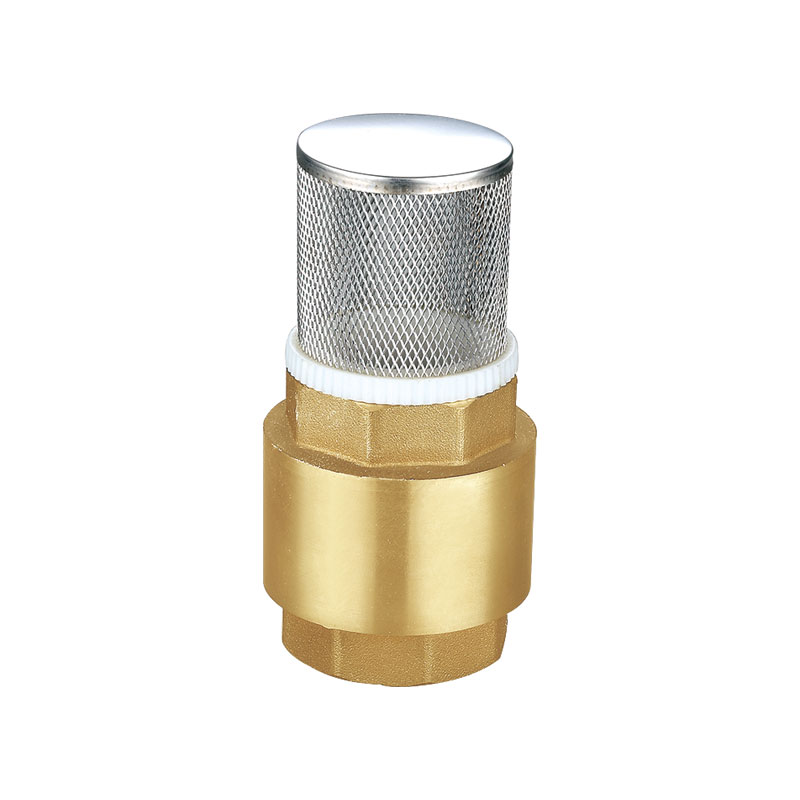 Clapet anti-retour universel en laiton avec filtre AMT-8002